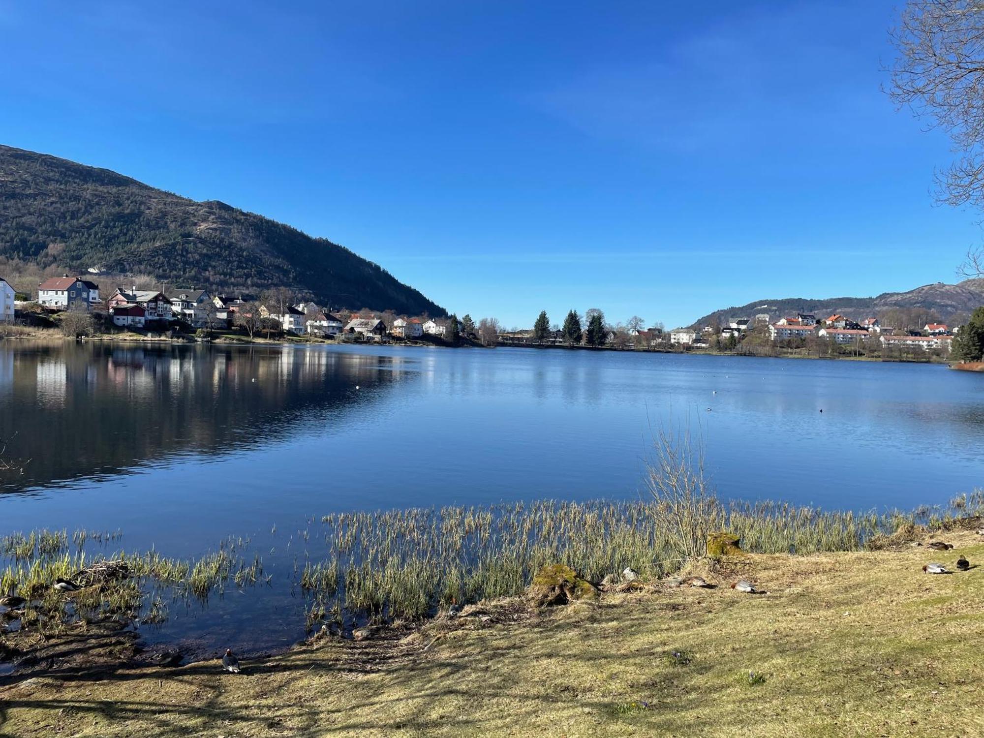 3 Sleeping Rooms For 82M2 Which Direct Traffic To Airport And City Center Bergen Exterior foto